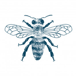 pan gander honig.bio berner biohonig schweizer biohonig honig.bio