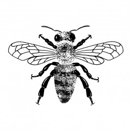 pan gander honig.bio www.honig.bio schweizer bienenhonig biohonig honig region bern murtensee neuenburger jura honig.bio